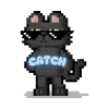 Trainer's Tier Logo