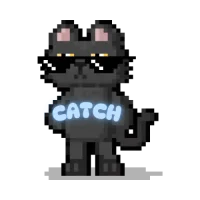 Trainer's Tier Logo